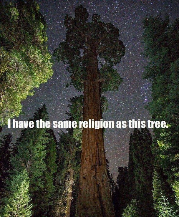 TreeReligion